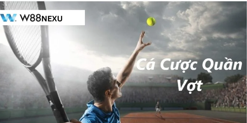 Cá Độ Quần Vợt W88: Từ A đến Z Kiến Thức Cược Xanh Chín