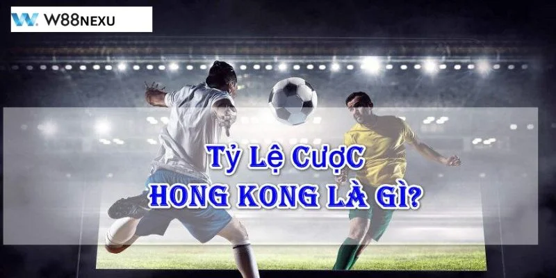 Kèo Hongkong Là Gì? Giải Đáp Kèo Cá Độ Chi Tiết Tại W88 Kèo Hongkong là gì sẽ được diễn giải cụ thể qua cách đọc tỷ lệ kèo.