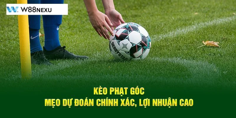 Soi Kèo Phạt Góc: Bí Quyết Bắt Kèo Chuẩn Xác Từ Cao Thủ W88 Cần xem xét kỹ tình hình trận đấu để soi kèo phạt góc chuẩn mực.