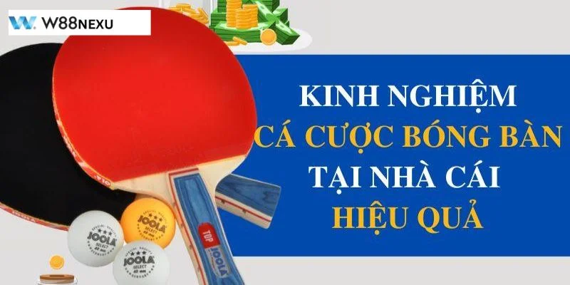 Mẹo Chơi Cá Độ Bóng Bàn Hiệu Quả: Bí Quyết Tăng Tỷ Lệ Thắng