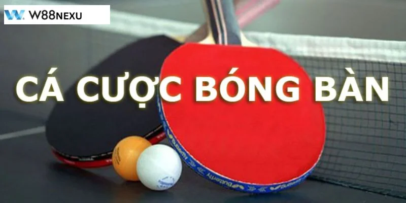 Mẹo Chơi Cá Độ Bóng Bàn Hiệu Quả: Mẹo Tăng Tỷ Lệ Thắng Kinh nghiệm cá độ bóng bàn cần vận dụng tổng thể kỹ thuật soi kèo.