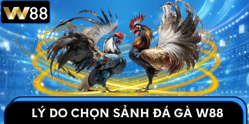 da-ga-w88-ly-do-trai-nghiem