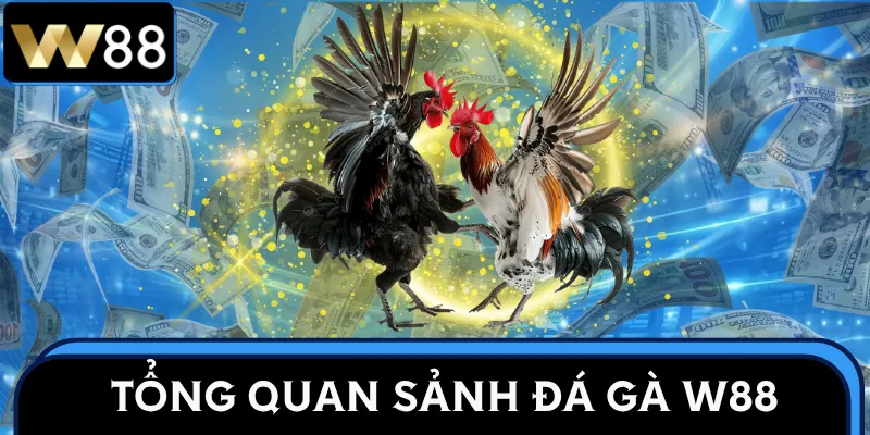 da-ga-w88-tong-quan